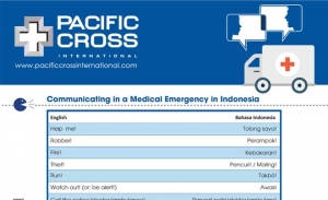 How To Communicate In A Medical Emergency In Indonesia