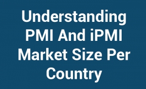 Understanding PMI And IPMI Market Size Per Country